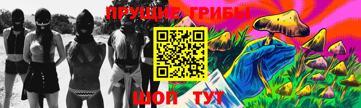 Сыктывкар  Псилоцибиновые грибы Psilocybine cubensis  Вход с VPN 